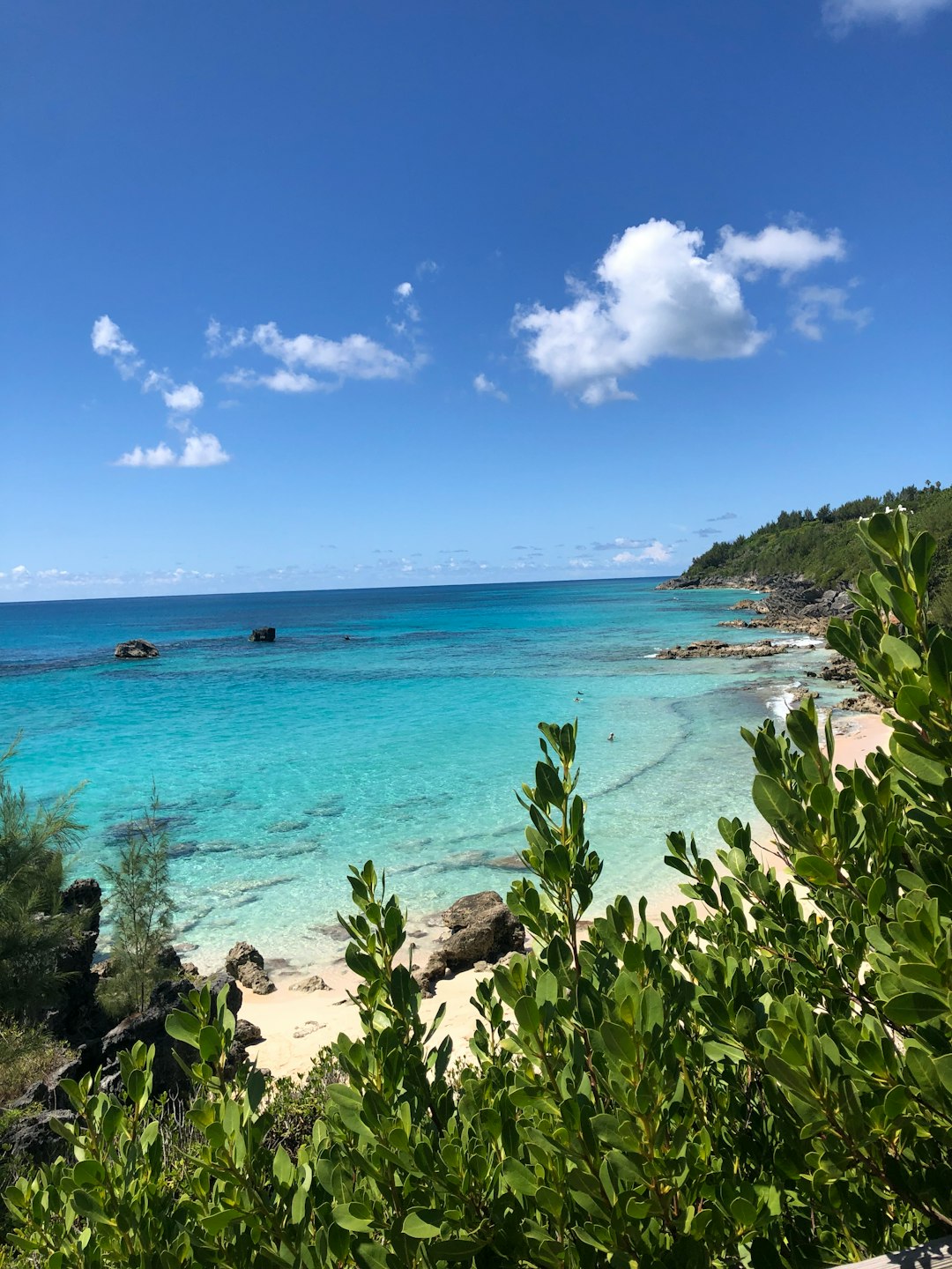 bermuda