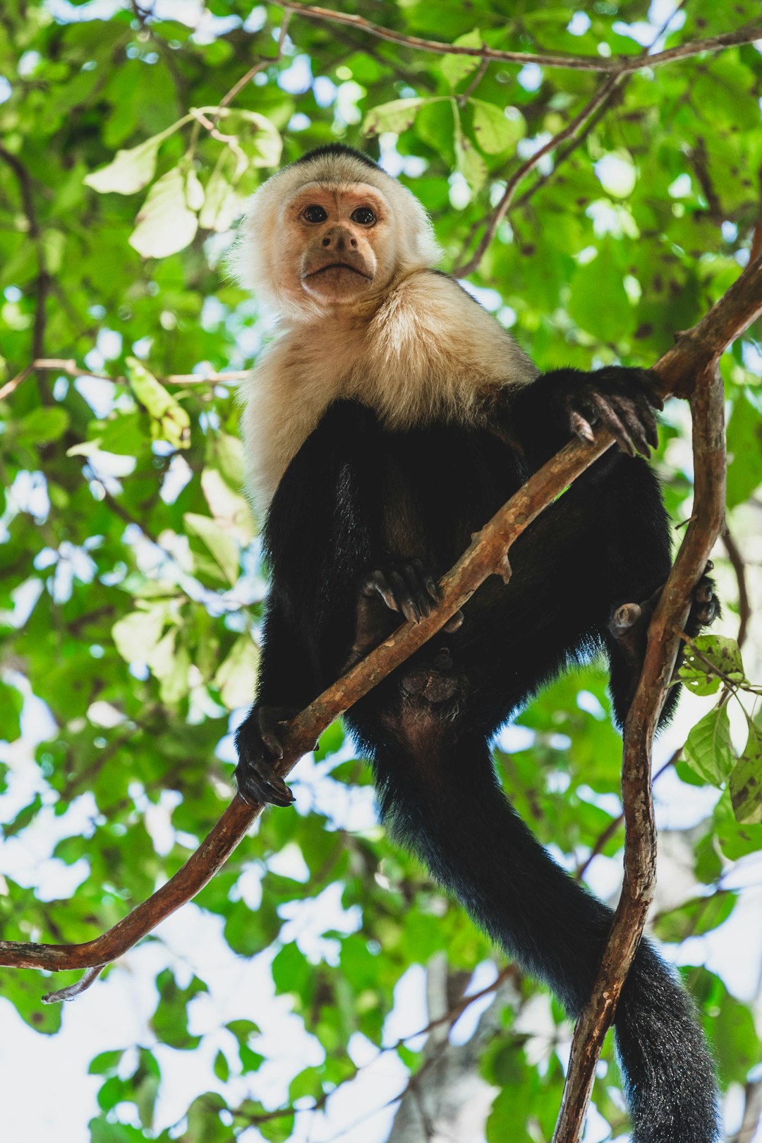 costa_rica