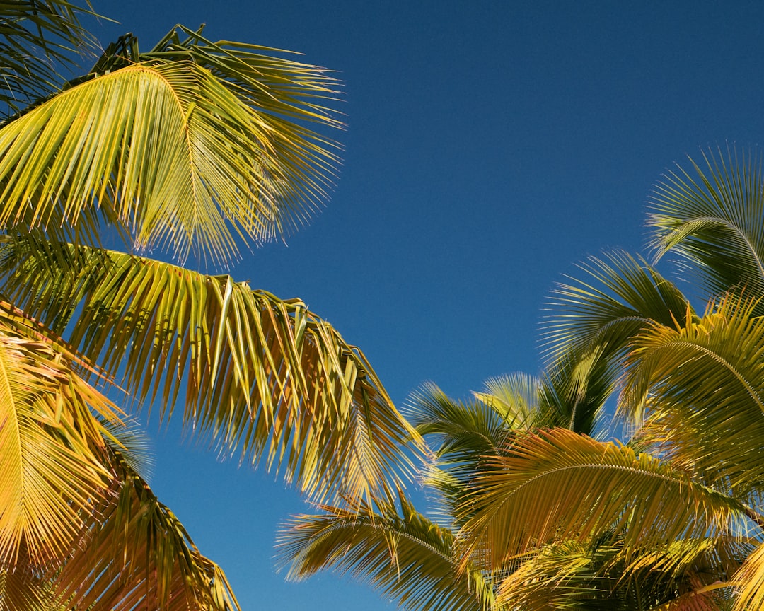 dominican_republic