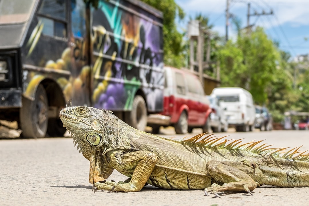 mexico