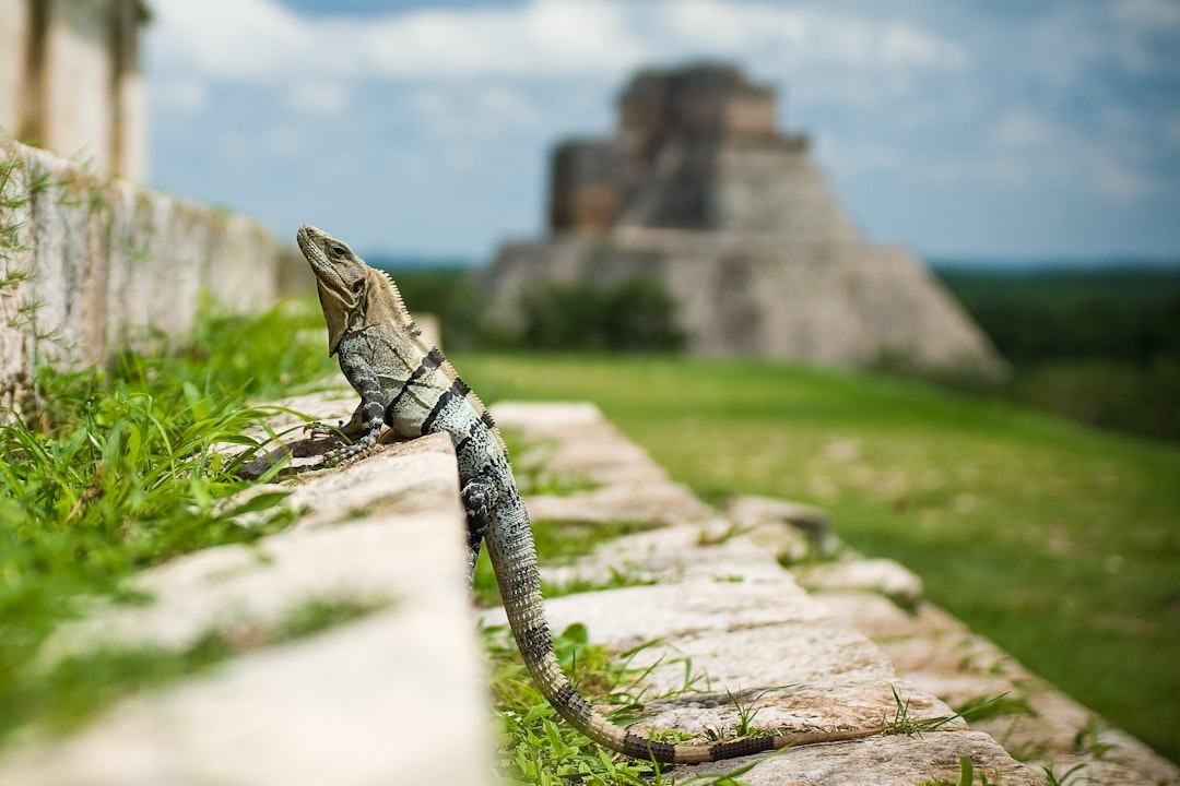 mexico