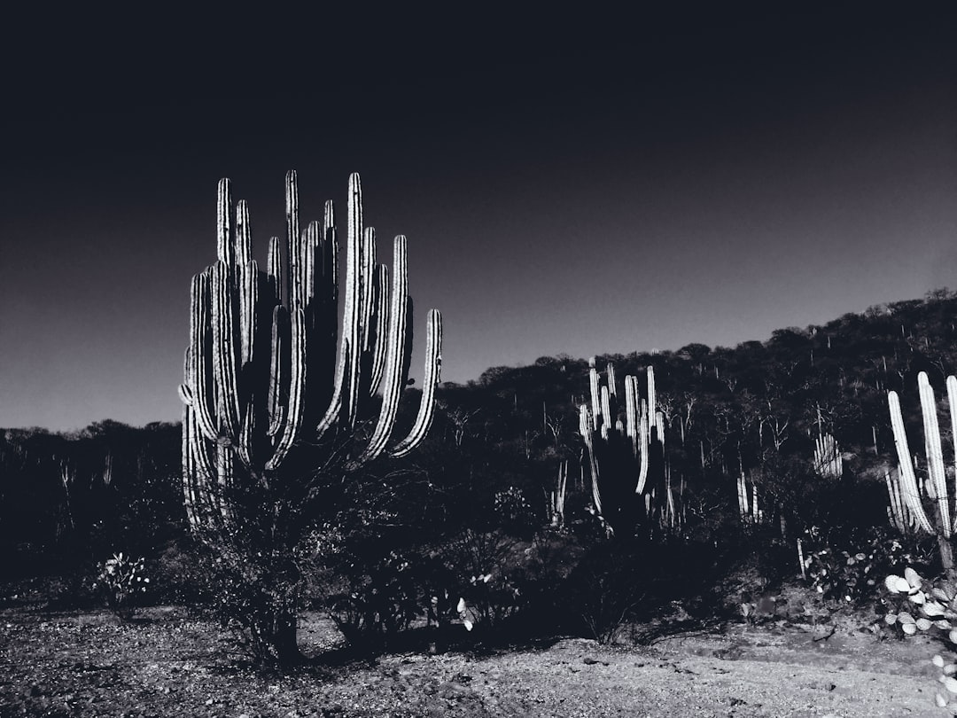 mexico