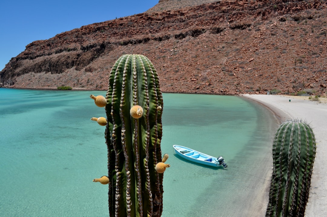 mexico