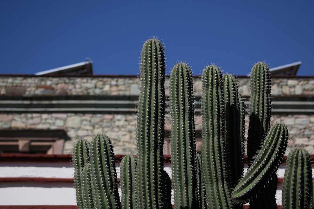 mexico