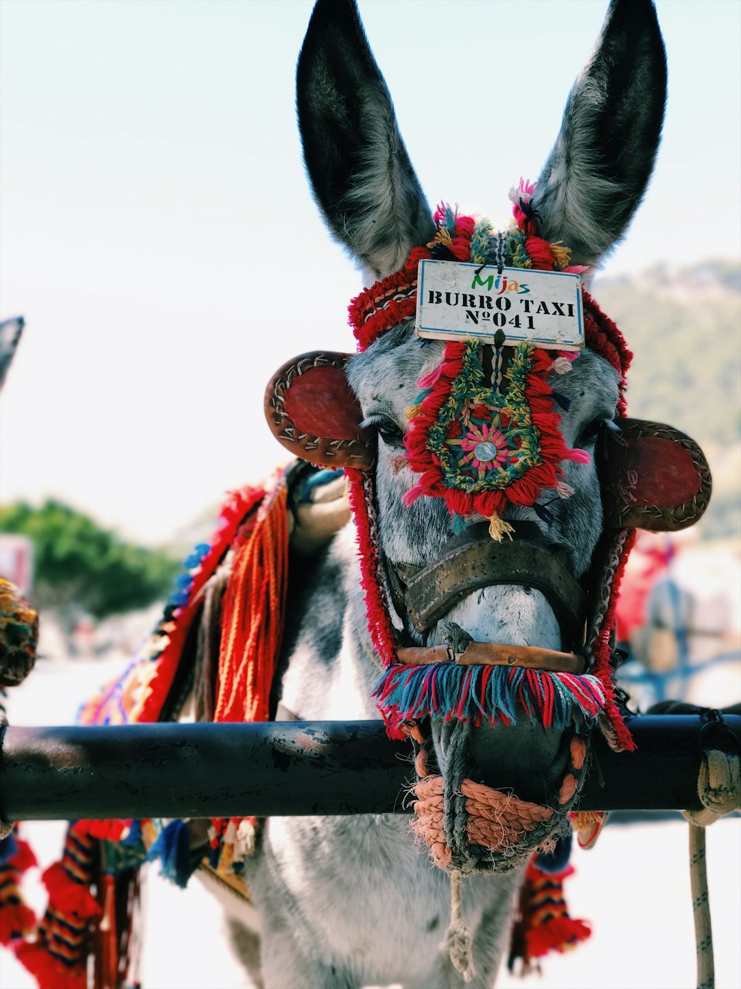 mexico