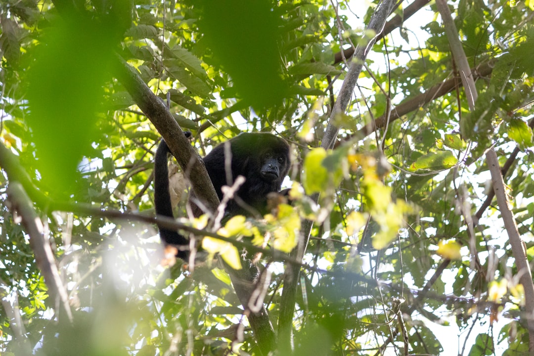 nicaragua