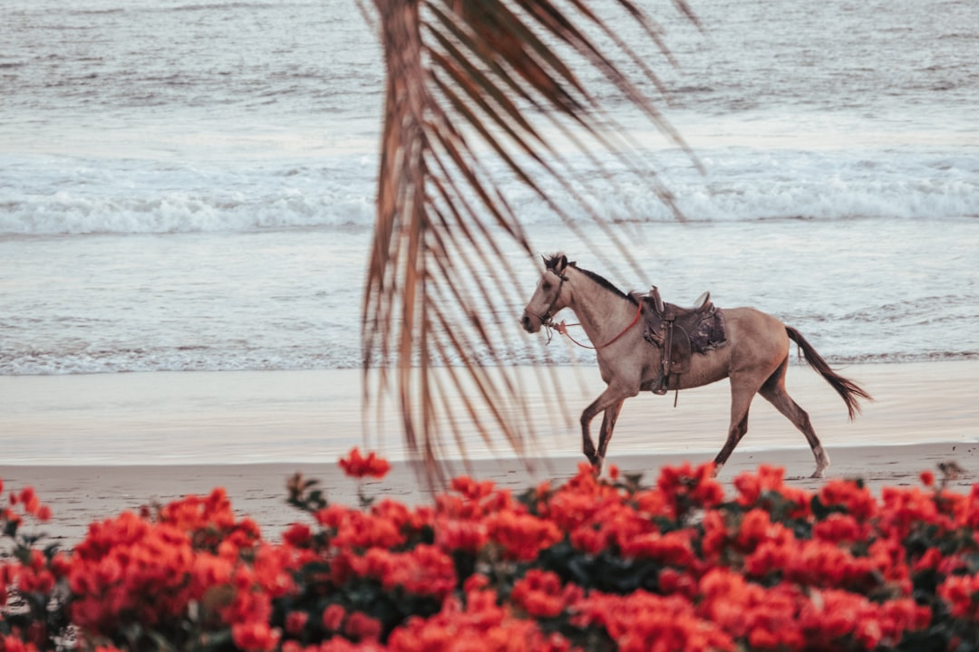 nicaragua