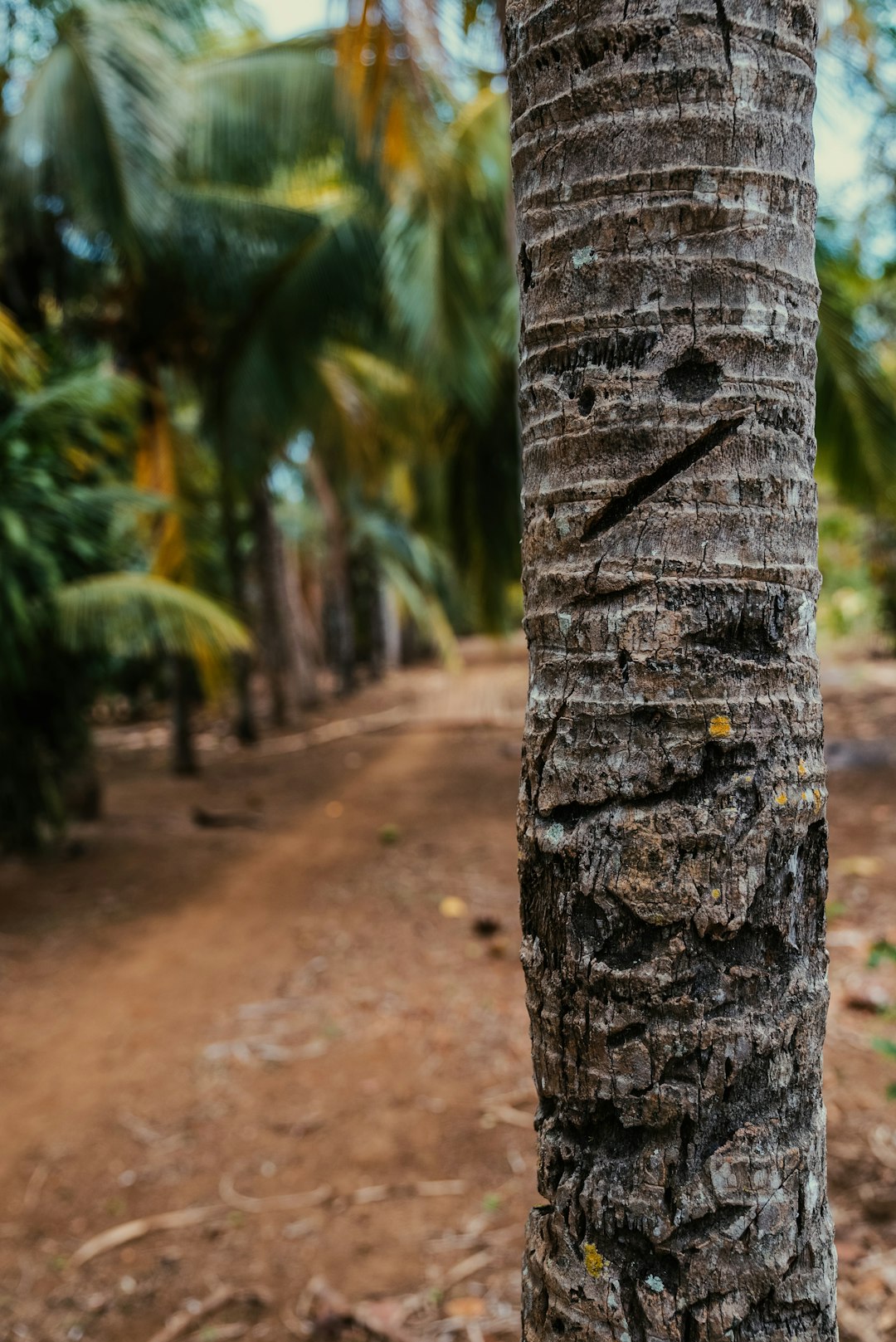 nicaragua