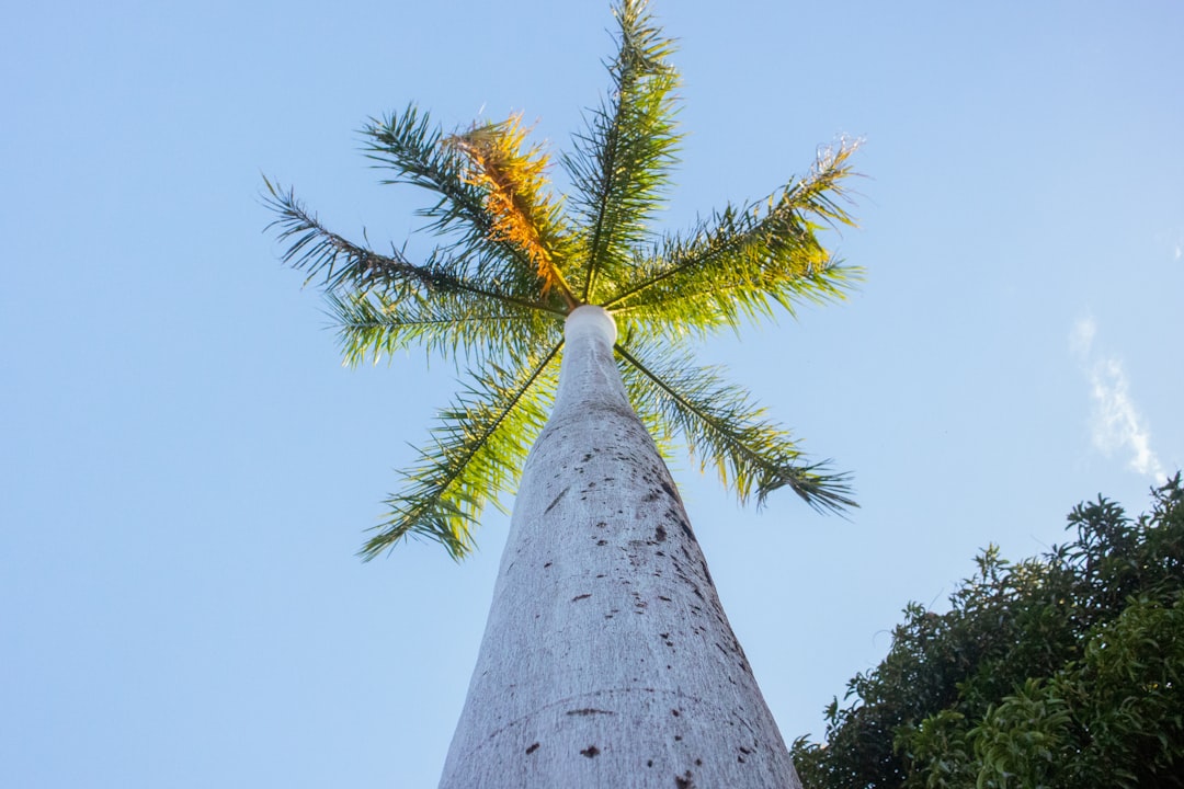 nicaragua