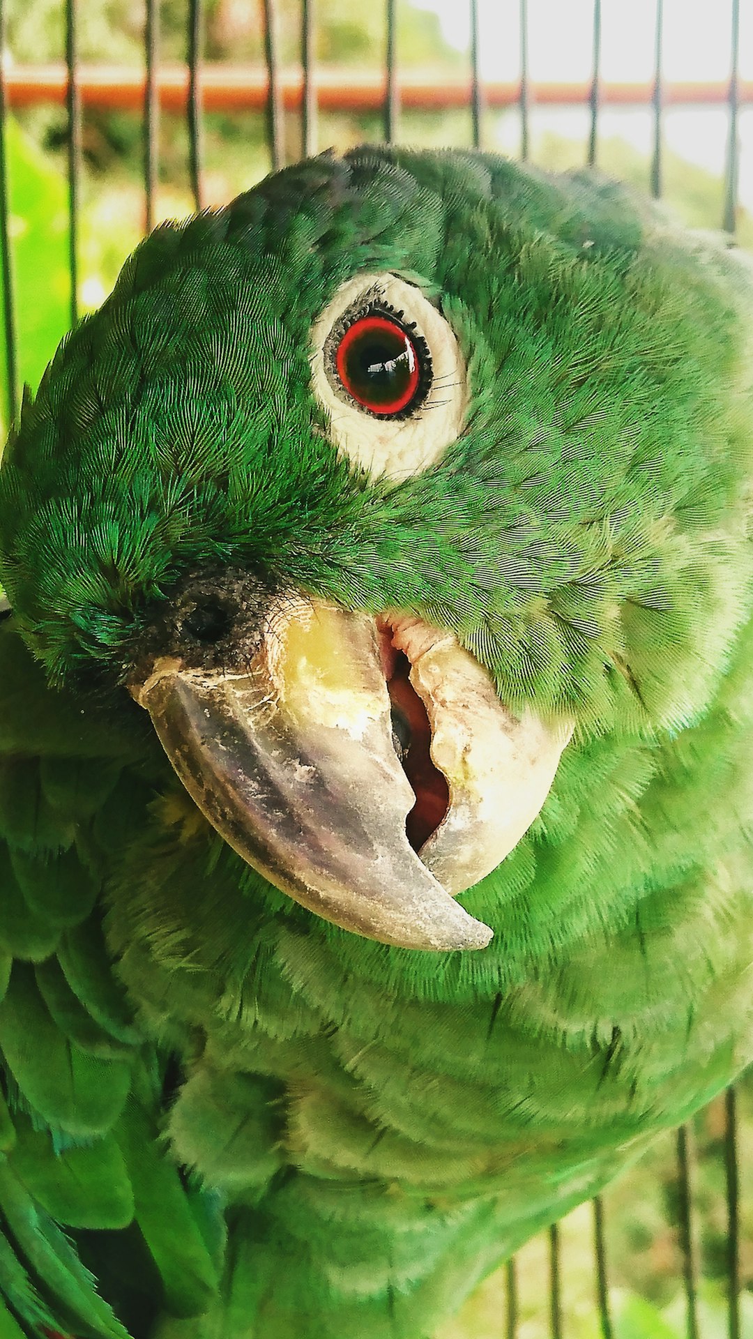 venezuela